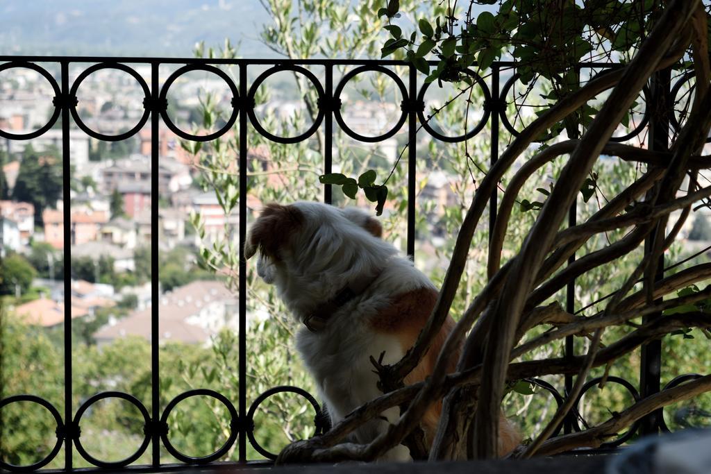 B&B Villa Moro - Family House Domodossola Exterior photo